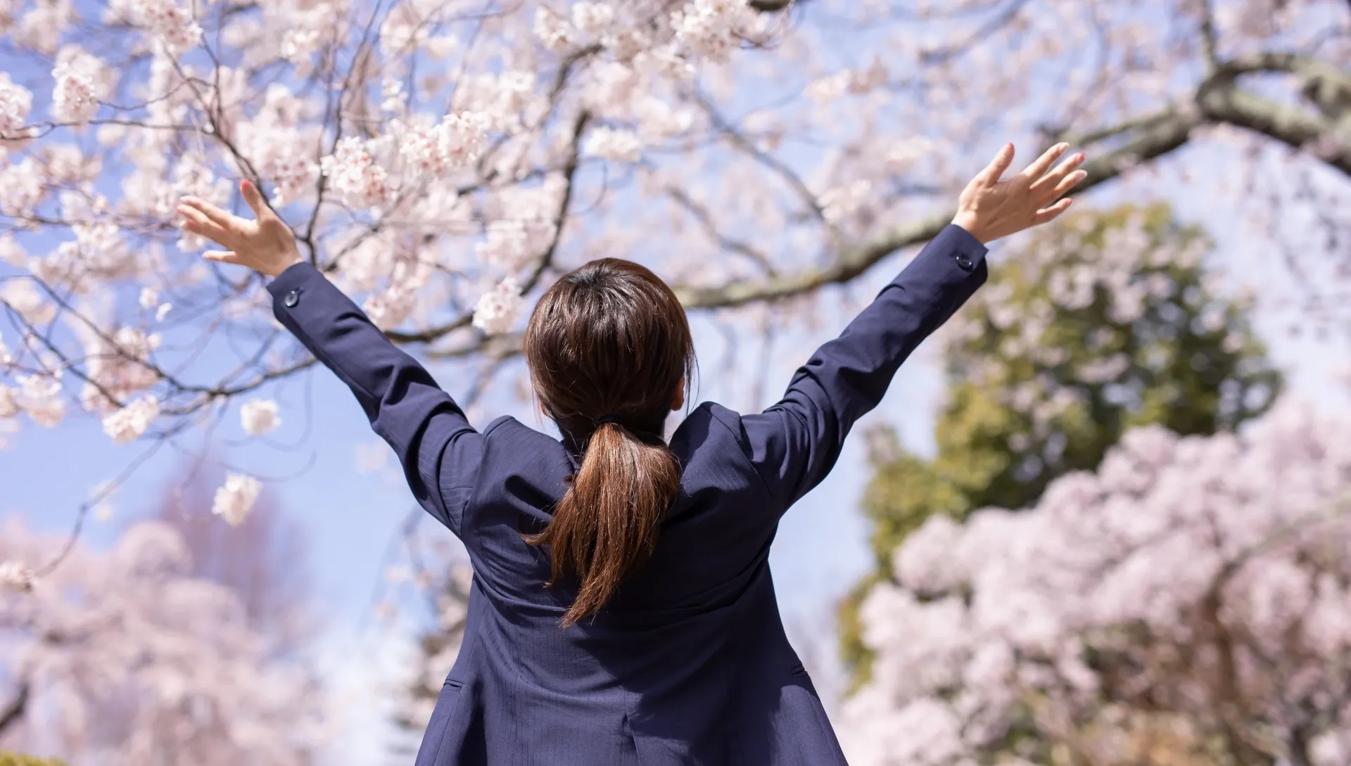 桜の木と女性社員の後ろ姿