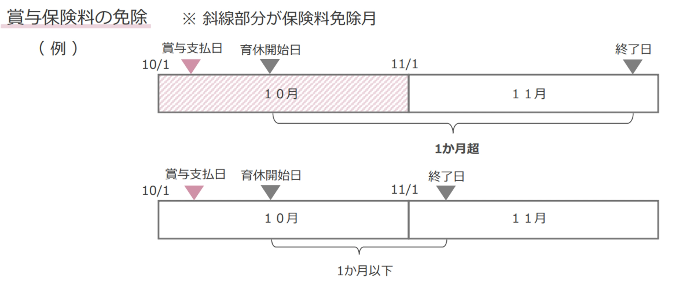 賞与保険料の免除